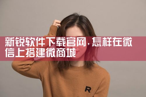 新锐软件下载官网