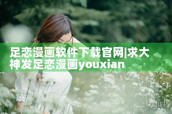 网络平台软件下载