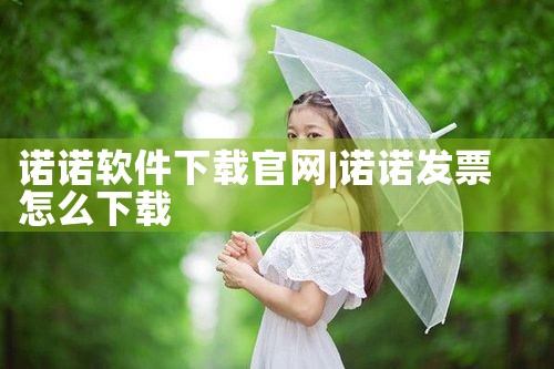 诺诺软件下载官网