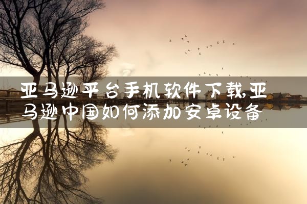 亚马逊平台手机软件下载