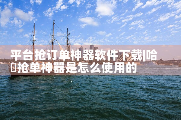 平台抢订单神器软件下载