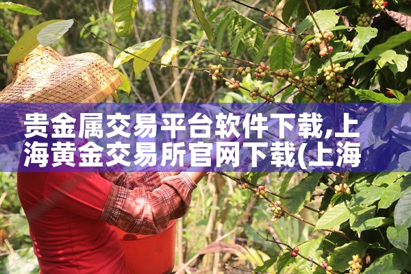 贵金属交易平台软件下载